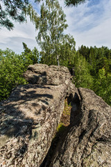 summer landscape with mountains and clouds