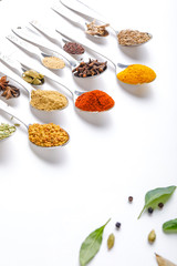 Various spices ( cumin, coriander, curry, paprika, chili, turmeric cinnamon, fenugreek, cardamom, basil leaf, parsley, cloves )  in  spoons on white background. Top view with copy space.