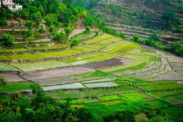 Fototapeta na wymiar rice terraces in vietnam