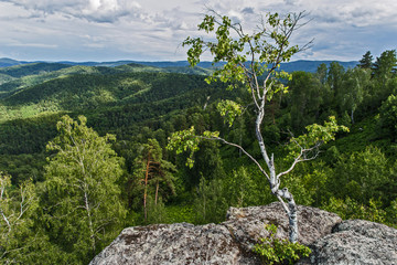 summer landscape with mountains and clouds