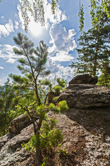 summer landscape with mountains and clouds