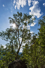 summer landscape with mountains and clouds