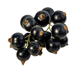 Fresh black-currants isolated on white background with clipping path