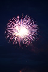 independence day 2019 celebration