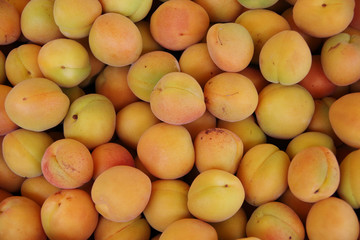 Naklejka na ściany i meble Close up full frame view of fresh apricots displayed for sale at a market stand