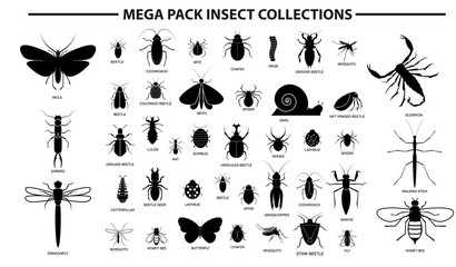 set of various insect in silhouette, with insect name. easy to modify - obrazy, fototapety, plakaty