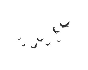 Bird Logo Template vector illustration