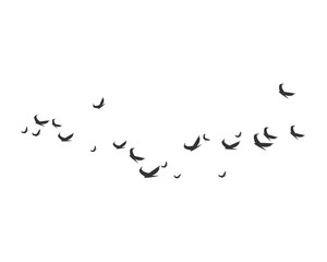 Bird Logo Template vector illustration