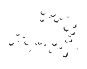 Obraz premium Bird Logo Template vector illustration