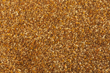 Pollen on white background