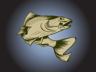 Fishing. Hand drawn vector fish. Sketch fish.