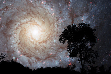 blur sprial galaxy back on night cloud sunset sky silhouette tree