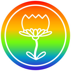 lotus flower circular in rainbow spectrum