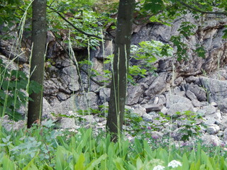 Summer forest in Finland or Karelia: huge stones, many coniferous trees - a beautiful landscape for hiking