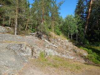 Summer forest in Finland or Karelia: huge stones, many coniferous trees - a beautiful landscape for hiking