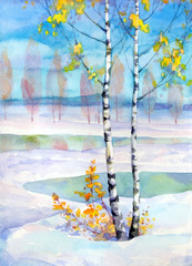 Birch in winter field. Watercolor painting