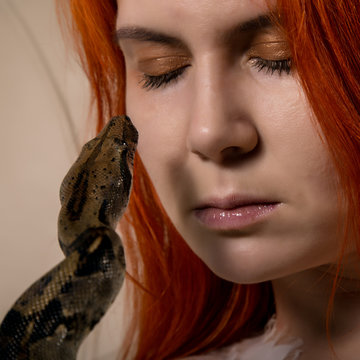 sexy redhead woman holding snake. close-up photo girl with pygmy python on a white background