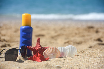 Starfish and seashell on sand. Sun cream and summer vacation accessories at beach. Travel and holidays concept, free space for text