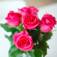 The pink roses in bouquet