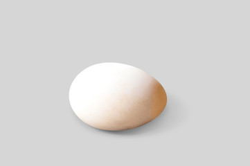 An egg isolated on white background