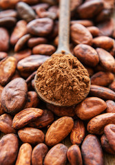 Wooden spoon with cocoa powder