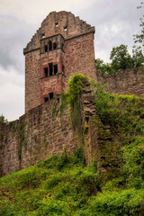 Fototapeta na wymiar Castle ruin Minneburg along the long-distance hiking trail Neckarsteig in Germany