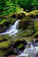 Bach im Wald - H&ouml;lzbachklamm im Hunsr&uuml;ck