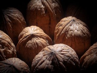 Fototapeta na wymiar textured walnut photo in the studio