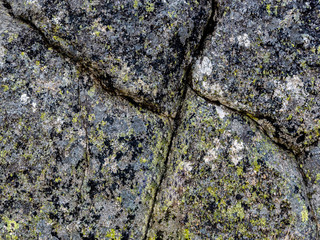 Close-up of cracks in a granite rock surface with green moss