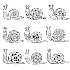 Black and white snails collection. Isolated elements © juliyas