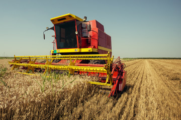 Combine harvester working on the wheat field
