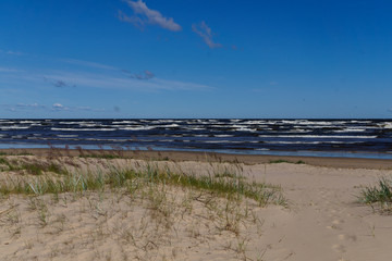 Fototapeta na wymiar Waves on a windy summer day, on the shore of the Gulf of Riga.