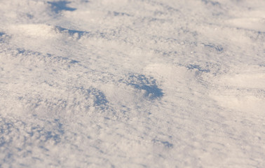 Snow drifts in winter - the territory covered with snow in the winter season. Photo taken in close-up