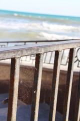 Beautiful cobweb hangs on a rusting metal fence near the Black Sea coast in the Crimea. Travel, tourism, nature and background concept.