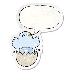 cartoon hatching chicken and speech bubble distressed sticker