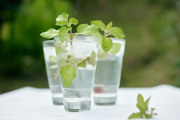 Summer hot fresh drink with mint in glass on white green grey background