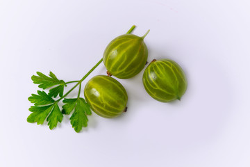 gooseberries on white background