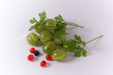 gooseberries and currants on white background