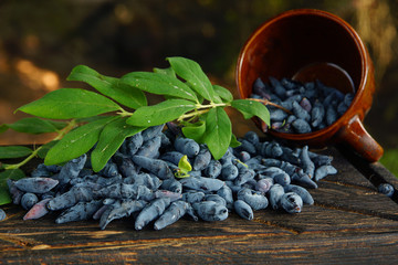 Blue honeysuckle berries and old stein on the board