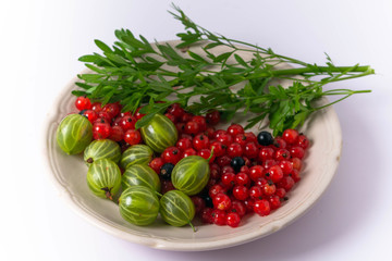 red currant in a bowl isolated on white