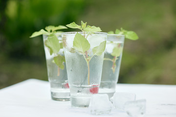 Summer hot fresh drink with mint in glass on white green grey background