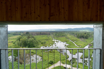 Fototapeta premium Pfrunger Ried bei Ostrach