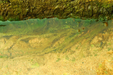 Water river landscape view with green moss background