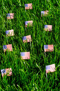 American flags on green grass. Studio Photo