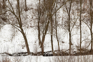 winter day after a snowfall
