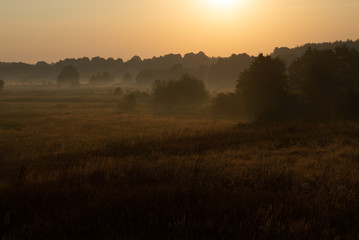 Fototapeta na wymiar morning on meadow. sunrise landscape photo with vintage effect