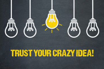 Trust your crazy idea! 