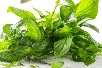 Obraz premium fresh basil leaves