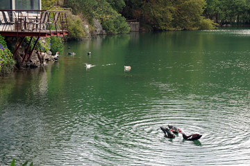 View of Lake Votomenos, a beautiful artificial lake in Crete