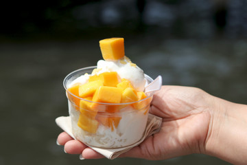 Coconut milk ice cream and sticky rice topped with mango in small bowl. This Thai dessert sweet is...